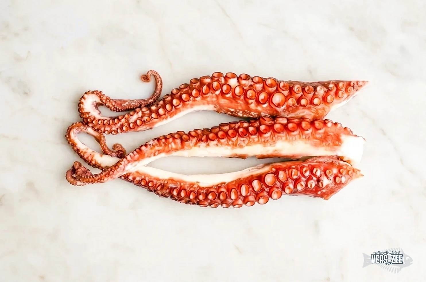 Gekookte octopus tentakels op marmer